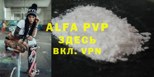 шишки Белокуриха