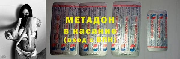 шишки Белокуриха