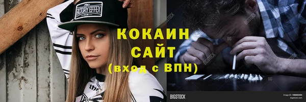 шишки Белокуриха