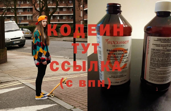 шишки Белокуриха