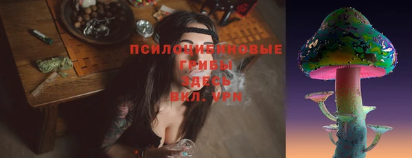 стафф Беломорск