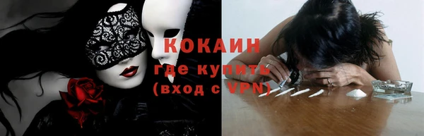 шишки Белокуриха
