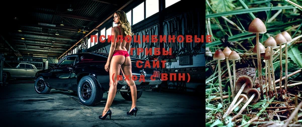 стафф Беломорск
